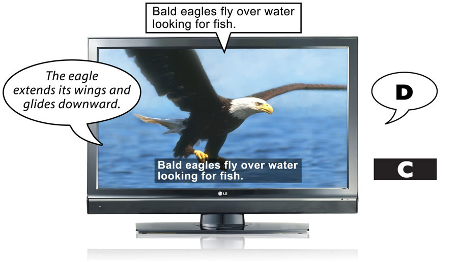 A television shows examples of captioning and description.