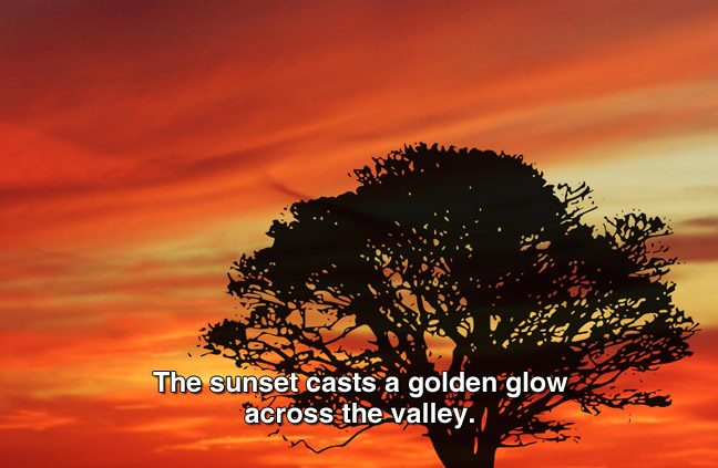 orange and yellow sky and sillhouette of a tree. captions: The sunset cast a golden glow across the valley.