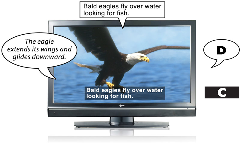 A television with video of an eagle flying.
