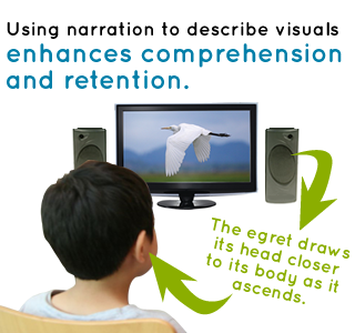 Using narration to describe visuals enhances comprehension and retention.