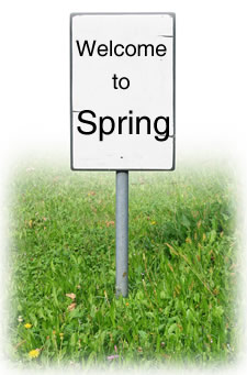 in a field of grass, a white sign reads 'welcome to spring'