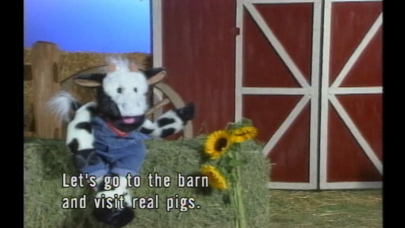 Wilbur Visits The Farm
