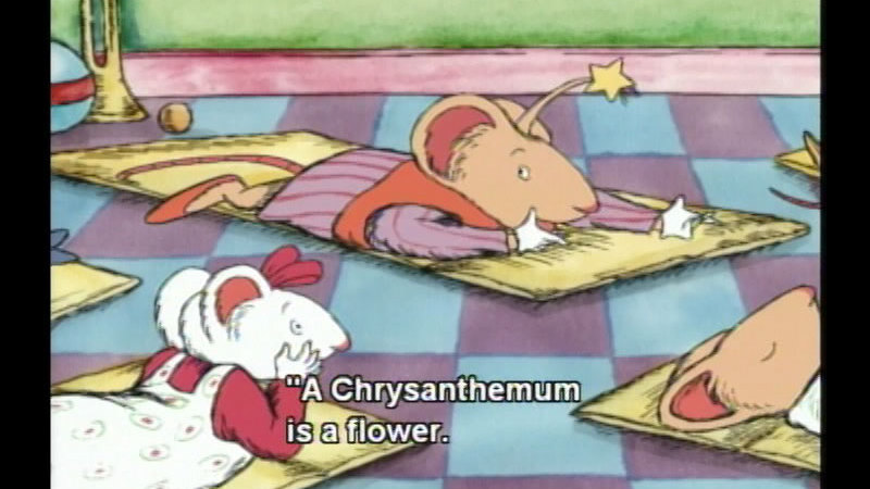 Chrysanthemum