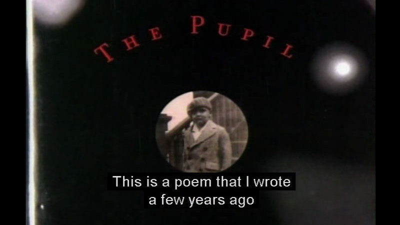The Poet's View: Intimate Portraits Of Five Major Poets