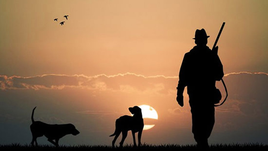 Sunset with silhouetted figures of a hunter and two dogs.